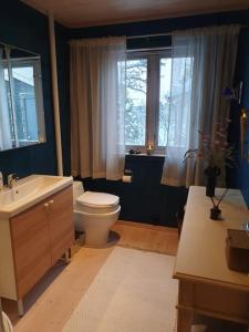 TranøyaDrømmehytta på Senja的一间带卫生间、水槽和窗户的浴室