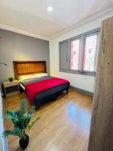 圣地亚哥Enjoy Hostel的一间卧室配有一张带红色毯子的大床