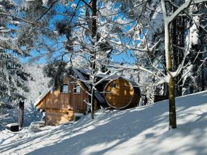 Šentvid pri StičniRomantic cabin with hot/cold tub and finnish sauna的雪中树林中的小屋