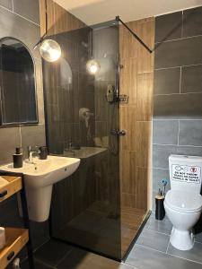 马夫罗沃Adora's Apartment Mavrovo的带淋浴、盥洗盆和卫生间的浴室