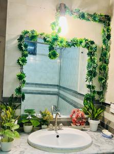 伊斯兰堡Luxury Family的浴室水槽设有镜子和盆栽植物