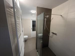 鲁哈科维斯卢兹尼公寓的带淋浴和卫生间的浴室
