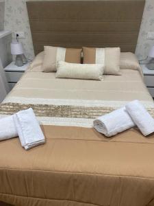 阿尔巴塞特El Molino的两张床,上面配有毛巾和枕头