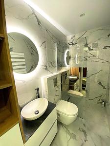尼斯Côte d'Azur Oasis Suites的浴室配有白色水槽和卫生间。