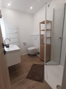 奥斯赛拜-屈隆斯博恩Apartmenthaus Atlantik的浴室配有卫生间、盥洗盆和淋浴。