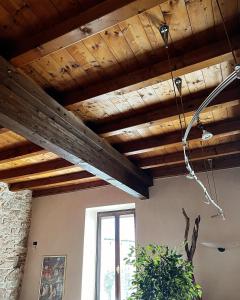 特伦托Residence Al Castello的木梁天花板和室内植物