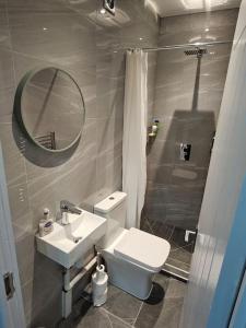 芬奇利Private One Bedroom Flat in Barnet, London的一间带卫生间、水槽和镜子的浴室