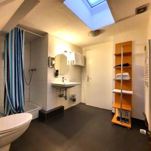 科隆阿里亚纳酒店的一间带卫生间和水槽的浴室