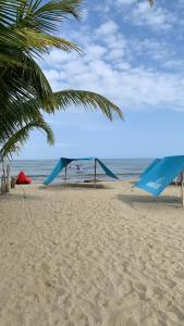 科韦尼亚斯Mónaco habitaciones的棕榈树和蓝色滑梯的海滩