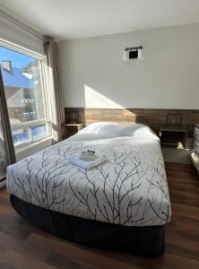 蒙特朗布朗Auberge Morritt的卧室设有一张大床,卧室设有大窗户