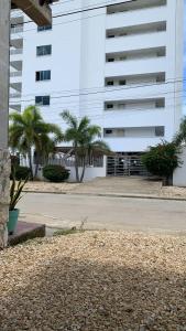 科韦尼亚斯Mónaco habitaciones的一座白色的大建筑,前面有棕榈树