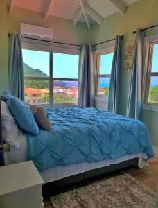 苏弗里耶尔La Pelle的一间卧室配有一张带蓝色床单和窗户的床。