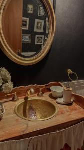 乌斯怀亚Villa de los Ñires的浴室水槽和柜台上的镜子