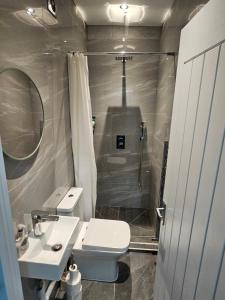 芬奇利Private One Bedroom Flat in Barnet, London的一间带水槽、卫生间和淋浴的浴室