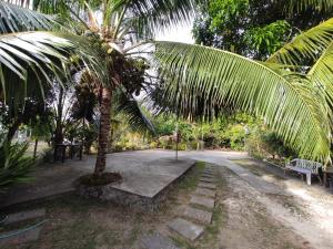 锡基霍尔Apoestin homestay的一条道路中间的棕榈树