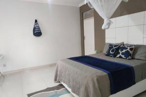 布兰太尔Nichi's Guesthouse - Cosy 3 bedroom with breakfast的一间卧室配有一张带蓝色和白色枕头的床