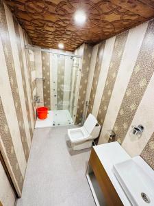 斯利那加The Hayat Group Of Houseboats的浴室配有卫生间、淋浴和盥洗盆。