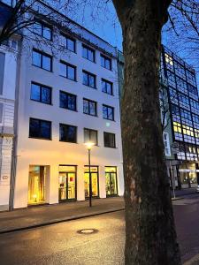 萨尔布吕肯玛德琳纳拜尔酒店的前面有棵树的白色建筑