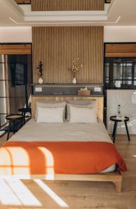 雅西Great Exodus - Iasi City Center的一间卧室配有一张带橙色毯子的大床