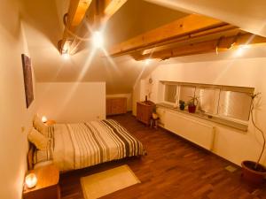 达那撒扎乌Pyramida & Sauna Relax Guest House的卧室配有一张床