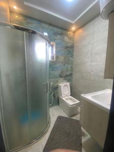 杰拉什Dolunay jarash的带淋浴、卫生间和盥洗盆的浴室