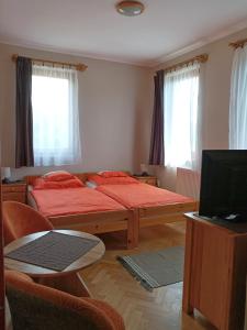 Mátraszele山丘阳光旅馆的一间带两张床和电视的客厅