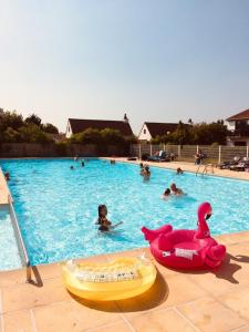 布列登Zeepark Zeewind的游泳池,游泳池有粉红色的天鹅和浮动