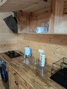 巴统ANANIA Cottage的小屋内的厨房配有台面