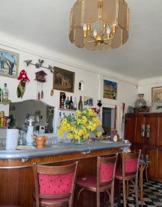 勒·雷约尔·卡纳德尔·苏尔Maison Les Mimosas的厨房设有酒吧,配有椅子和鲜花