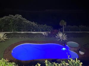TrafalgarWaves of Mercy的夜晚在院子里的一个蓝色泳池