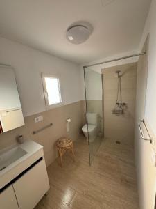 埃斯·梅卡达尔Casa Dina的带淋浴、卫生间和盥洗盆的浴室