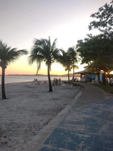 大伊瓜巴Casa em iguaba grande的沙滩上的棕榈树