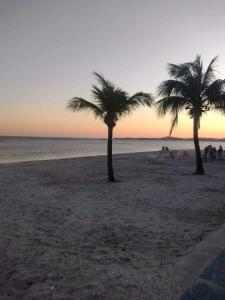 大伊瓜巴Casa em iguaba grande的日落时分海滩上的两棵棕榈树