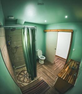 勒唐蓬Villa la fournaise的带淋浴和卫生间的浴室。