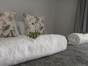 奥茨胡恩Oppi Draai Guesthouse的一张带毛巾和植物的白色床