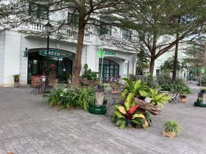 富国Green Inn Phu Quoc Hotel的建筑前的一组植物