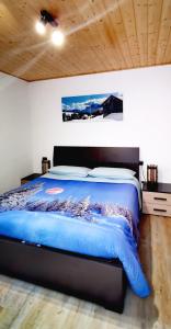 潘基阿Bilocale Nel Cuore Della Val Di Fiemme的一间卧室配有一张带蓝色棉被的床