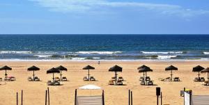 蒙蒂戈杜Casa ao Mar的海滩上设有椅子和遮阳伞,还有大海
