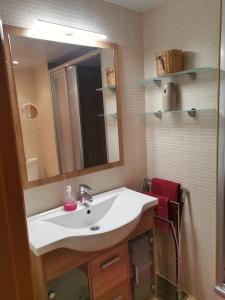 兰卡Apartament a les cales de Llançà en residència privada amb piscina的一间带水槽和镜子的浴室