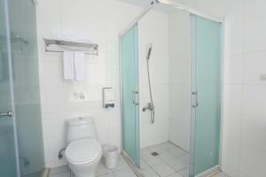 台北立和商务旅馆- 汉口馆的一间带卫生间和玻璃淋浴间的浴室