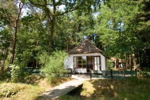 奥特罗Tiny House de Berken的森林中间的小别墅