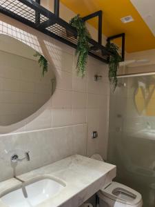 贝洛奥里藏特Belô Hostel的一间带水槽、卫生间和镜子的浴室