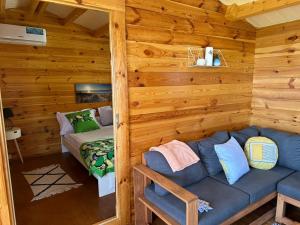 Chalets Chomoni的小木屋内带沙发的客厅