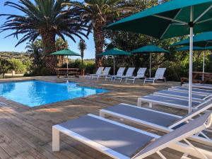蚝湾牡蛎湾小屋酒店的一组椅子和遮阳伞,位于游泳池旁