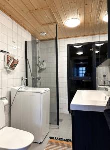 塔库沃里Yläkerran asunto parvekkeella ja saunalla的一间带卫生间和水槽的浴室