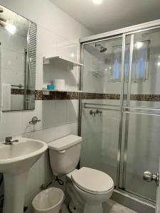 巴拿马城Posada 1914的浴室配有卫生间水槽和淋浴。
