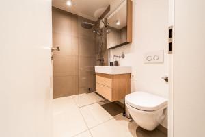 卢森堡Beautiful apartment in the city and free parking的浴室配有卫生间、盥洗盆和淋浴。