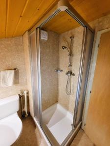 贝阿滕贝格Chalet Lilo 2 Zimmer top mountain view的带淋浴、卫生间和盥洗盆的浴室