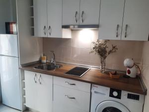 普拉森西亚Apartamentos Clavero 10的厨房配有白色橱柜、水槽和洗衣机