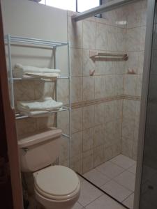 马尔多纳多港DouchkaHouse的浴室设有卫生间和带毛巾的淋浴。